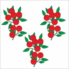 Флаг села Купино Шепетовского района Хмельницкой области Украины