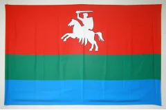 Флаг села Литовеж Владимир-Волынского района Волынской области Украины. Враиант-02