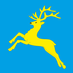 Прапор села Товсте Чортківського району Тернопільської області України Прапор села Товсте Чортківського району Тернопільської області України