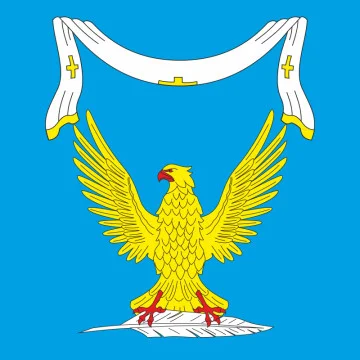 Флаг села Поповцы Хмельницкого района Хмельницкой области Украины Флаг села Поповцы Хмельницкого района Хмельницкой области Украины