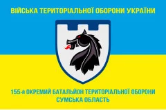 Флаг 155 ОБТрО (отдельный батальон Территориальной обороны) ВСУ. Вариант-05