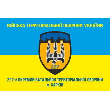 Флаг 227 ОБТрО (отдельный батальон Территориальной обороны) ВСУ. Вариант-02