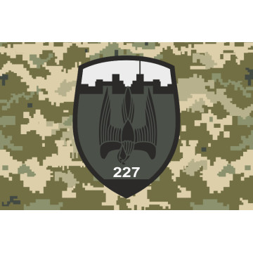 Флаг 227 ОБТрО (отдельный батальон Территориальной обороны) ВСУ. Вариант-03