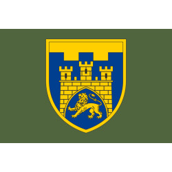 Прапор 125 ОБр ТрО ЗСУ (окрема бригада територіальної оборони). Варіант-03