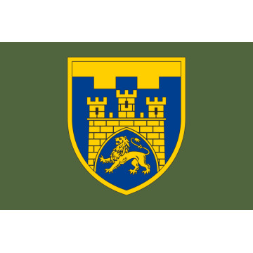 Прапор 125 ОБр ТрО ЗСУ (окрема бригада територіальної оборони). Варіант-03 Прапор 125 ОБр ТрО ЗСУ (окрема бригада територіальної оборони). Варіант-03