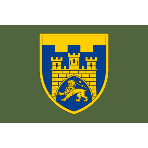 Прапор 125 ОБр ТрО ЗСУ (окрема бригада територіальної оборони). Варіант-03 Прапор 125 ОБр ТрО ЗСУ (окрема бригада територіальної оборони). Варіант-03