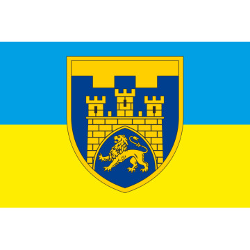 Прапор 125 ОБр ТрО ЗСУ (окрема бригада територіальної оборони). Варіант-06 Прапор 125 ОБр ТрО ЗСУ (окрема бригада територіальної оборони). Варіант-06
