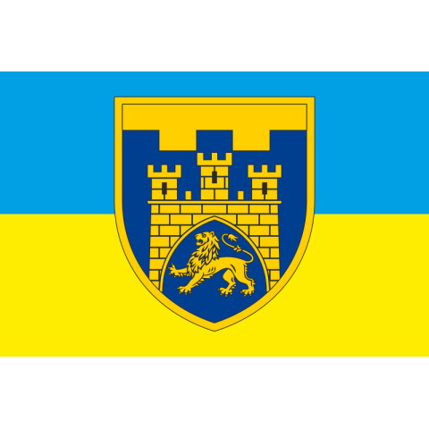 Прапор 125 ОБр ТрО ЗСУ (окрема бригада територіальної оборони). Варіант-06 Прапор 125 ОБр ТрО ЗСУ (окрема бригада територіальної оборони). Варіант-06