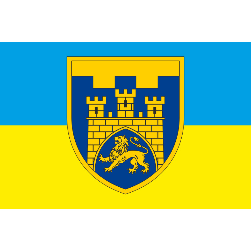 Прапор 125 ОБр ТрО ЗСУ (окрема бригада територіальної оборони). Варіант-06 Прапор 125 ОБр ТрО ЗСУ (окрема бригада територіальної оборони). Варіант-06