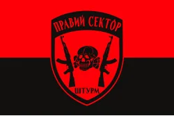 Прапор ДУК «Правий сектор» Штурм