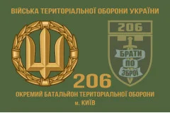 Флаг 206 ОБТрО (отдельный батальон Территориальной обороны) ВСУ. Вариант-03