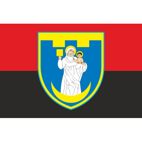 Прапор 117 ОБрТрО ЗСУ (окрема бригада територіальної оборони). Варіант-07