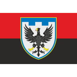 Прапор 119 ОБрТрО ЗСУ (окрема бригада територіальної оборони). Варіант-07