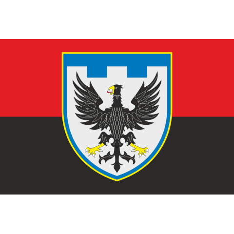 Прапор 119 ОБрТрО ЗСУ (окрема бригада територіальної оборони). Варіант-07