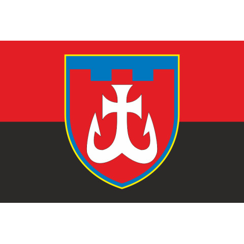 Прапор 120 ОБрТрО ЗСУ (окрема бригада територіальної оборони). Варіант-07