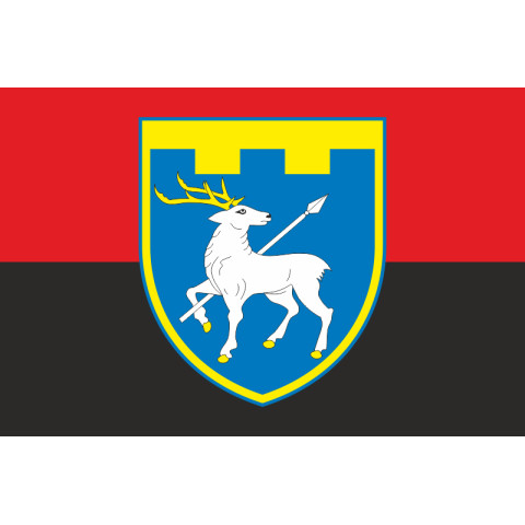 Прапор 123 ОБрТрО ЗСУ (окрема бригада територіальної оборони). Варіант-07