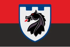 Флаг 155 ОБТрО (отдельный батальон Территориальной обороны) ВСУ. Вариант-07