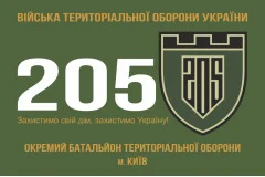 Флаг 205 ОБТрО (отдельный батальон Территориальной обороны) ВСУ. Вариант-01