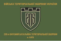 Флаг 205 ОБТрО (отдельный батальон Территориальной обороны) ВСУ. Вариант-02