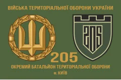 Флаг 205 ОБТрО (отдельный батальон Территориальной обороны) ВСУ. Вариант-03