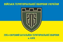 Флаг 205 ОБТрО (отдельный батальон Территориальной обороны) ВСУ. Вариант-04
