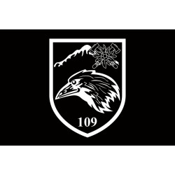 Флаг 109 ОГШБ (отдельный горно-штурмовой батальон) 10 ОГШБр ВСУ. Вариант-10 Флаг 109 ОГШБ (отдельный горно-штурмовой батальон) 10 ОГШБр ВСУ. Вариант-10