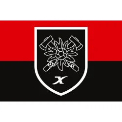 Флаг 10 ОГШБр (отдельная горно-штурмовая бригада) ВСУ. Вариант-11 Флаг 10 ОГШБр (отдельная горно-штурмовая бригада) ВСУ. Вариант-11