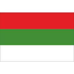 Прапор Герцогства Анхальт (Німецька імперія 1870-1919рр) Прапор Герцогства Анхальт (Німецька імперія 1870-1919рр)