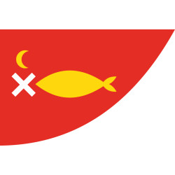 Флаг Козацкий - 1651 року. Вариант-18