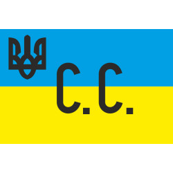 Флаг УНР, штаба группы Сечевых стрельцов