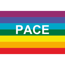 Флаг МИРА (PACE-движения) Флаг МИРА (PACE-движения)