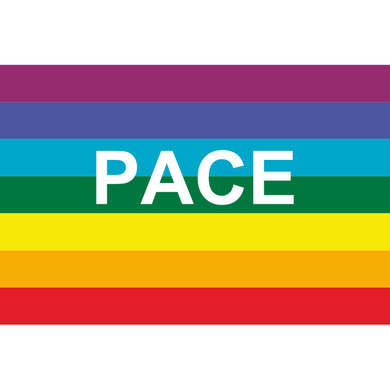 Флаг МИРА (PACE-движения) Флаг МИРА (PACE-движения)