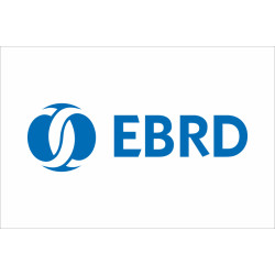 Флаг ЕБРР, Евробанк (Европейский банк реконструкции и развития). Вариант-01