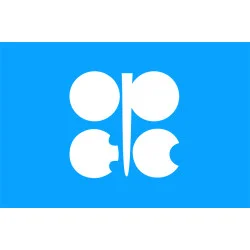 Флаг ОПЕК (организация стран-экспортеров нефти) Флаг ОПЕК (организация стран-экспортеров нефти)