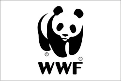 Флаг Всемирного фонда дикой природы (WWF)