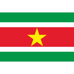 Флаг Суринама Флаг Суринама