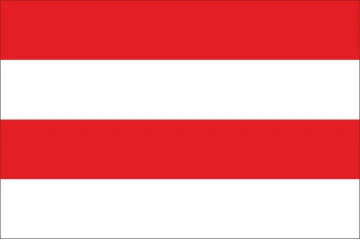 Флаг гуджаратцы Флаг гуджаратцы