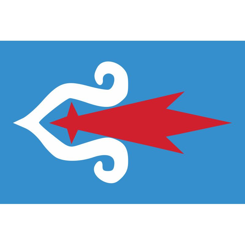 Флаг айни Флаг айни