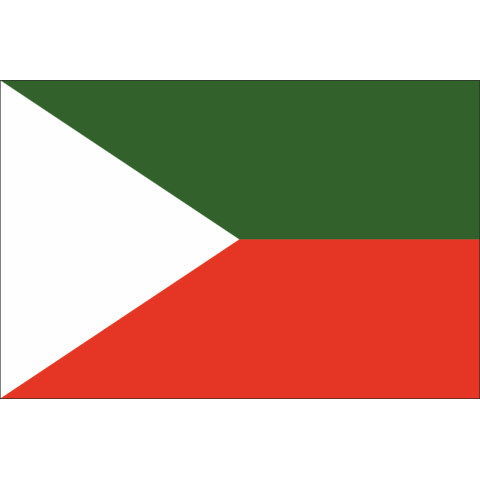 Флаг кашмирцев. Вариант-04 Флаг кашмирцев. Вариант-04