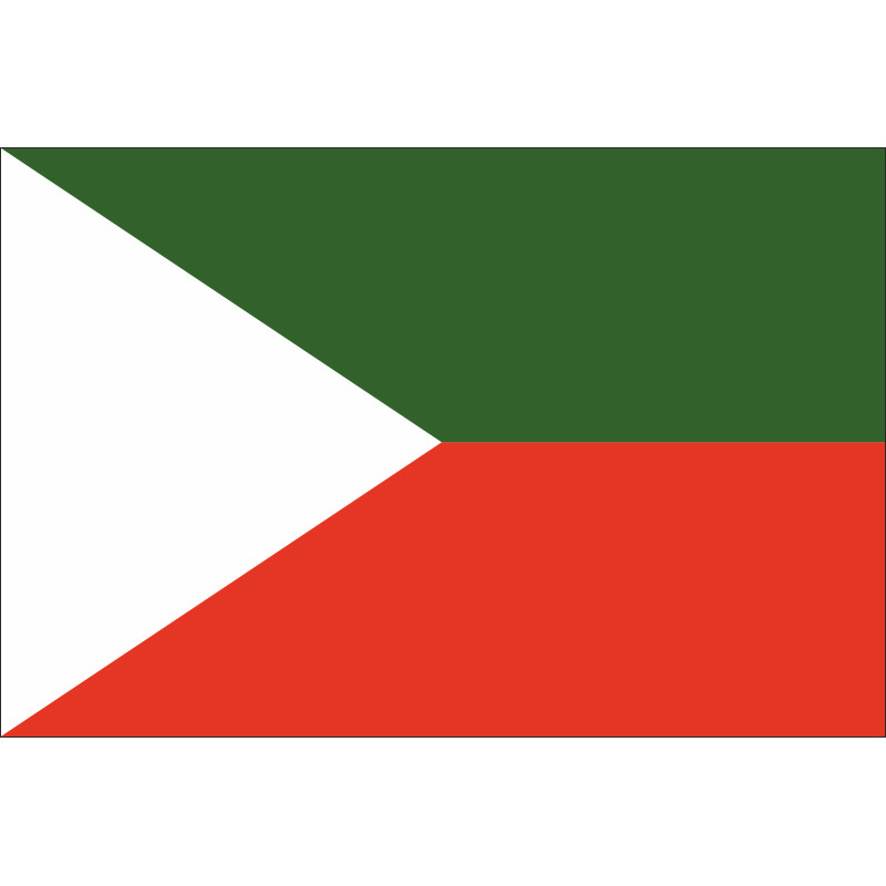Флаг кашмирцев. Вариант-04 Флаг кашмирцев. Вариант-04