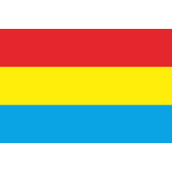 Флаг малаяли Флаг малаяли