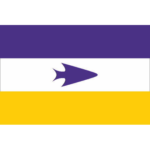 Флаг теуэльче. Вариант-01 Флаг теуэльче. Вариант-01