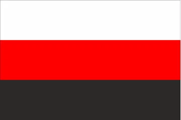 Флаг эрзя