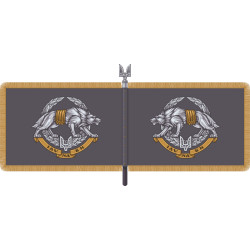 Знамя ССО (Силы специальных операций) Украины Знамя ССО (Силы специальных операций) Украины